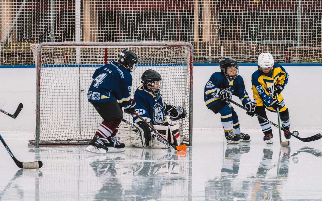 Groupe de Troc Matériel Hockey s/s Glace